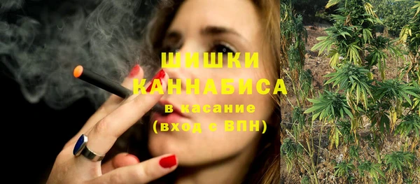 сатива Баксан