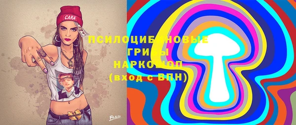 соль ск Балахна