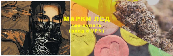 сатива Баксан