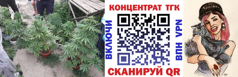 магазин  наркотиков  Касли  ТГК концентрат 