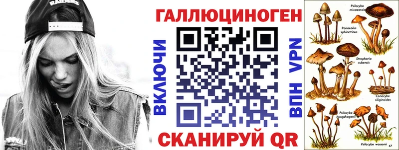 закладка  мориарти какой сайт  Псилоцибиновые грибы Magic Shrooms  Касли 